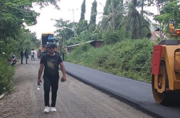 Daun penggemuk ayam di Ile Ape, Lembata