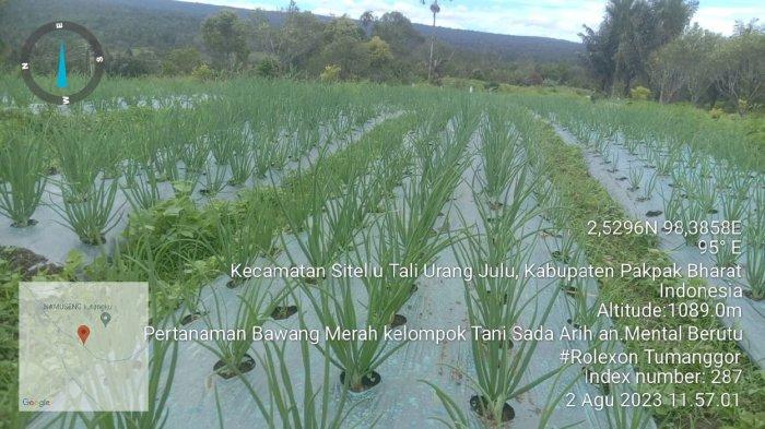 BUPATI PAKPAK BHARAT BAGIKAN TONG SAMPAH DI DESA SIEMPAT RUBE II ... Ayam Ternak di Siempat Rube, Pakpak Bharat