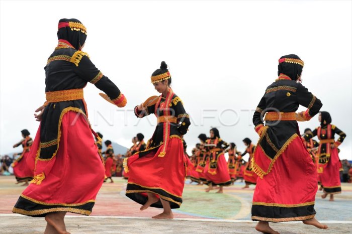 TARI LUMENSE DI KABAENA | ANTARA Foto Daun penggemuk ayam di Kabaena Tengah, Bombana