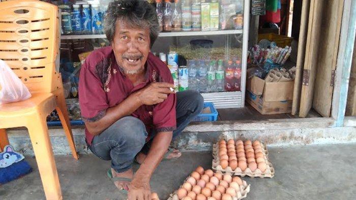 Pj Bupati Tinjau Budidaya Ayam Petelur di Sawang, Miliki 13 Ribu Ayam ...