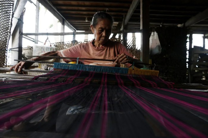 Daun penggemuk ayam di Bonto Bahari, Bulukumba