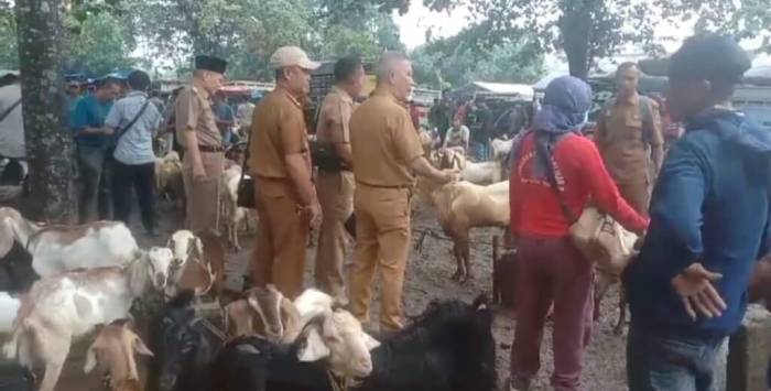 Daging kambing di Padang Ratu, Lampung Tengah