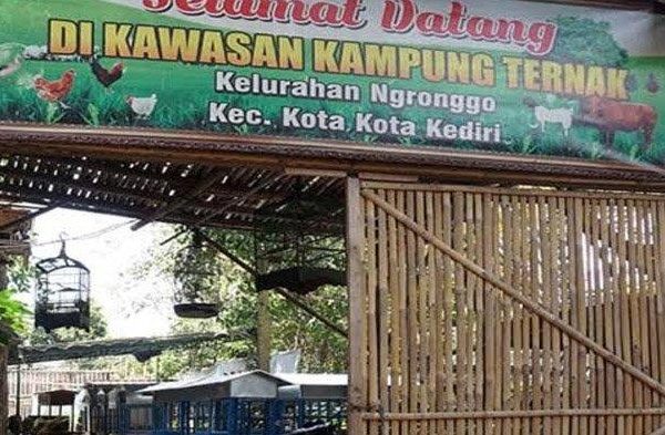 Daging kambing di Jabon, Sidoarjo