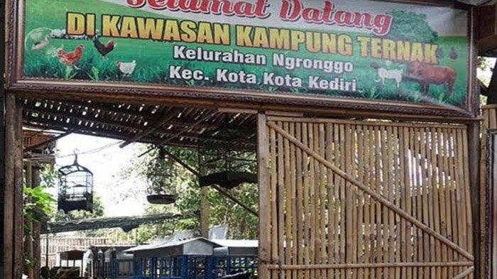 Daging kambing di Jabon, Sidoarjo