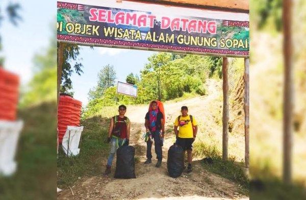 Daun penggemuk ayam di Sopai, Toraja Utara