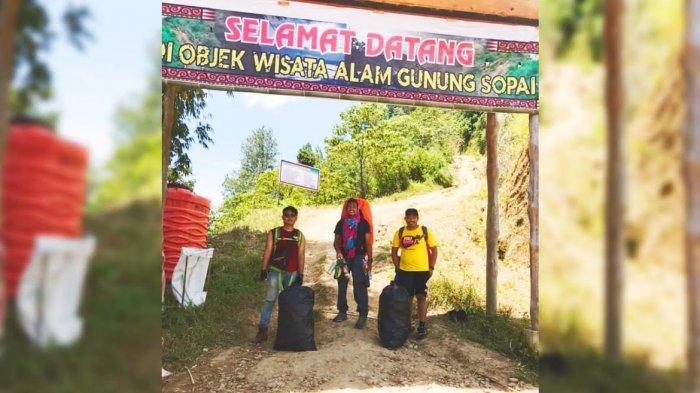 Daun penggemuk ayam di Sopai, Toraja Utara