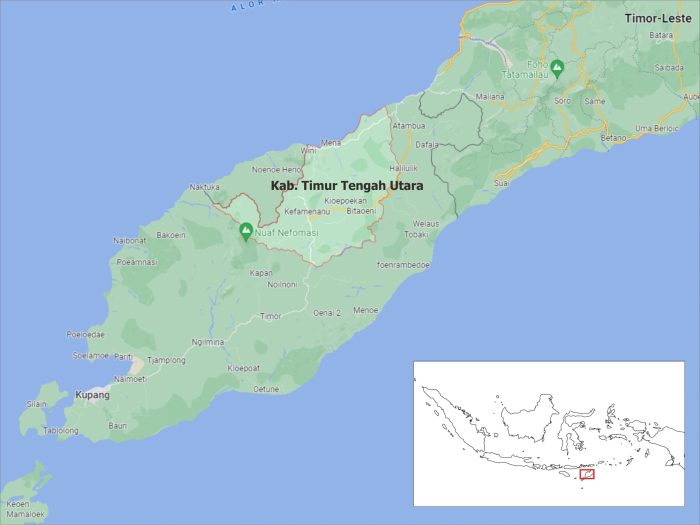 Daun penggemuk ayam di Biboki Selatan, Timor Tengah Utara