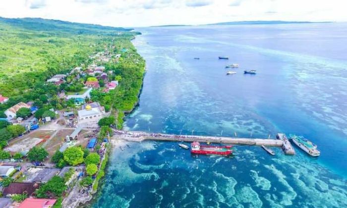 Pulau Binongko, Pulau Tersembunyi Kaya Pesona di Wakatobi Daun penggemuk ayam di Binongko, Wakatobi