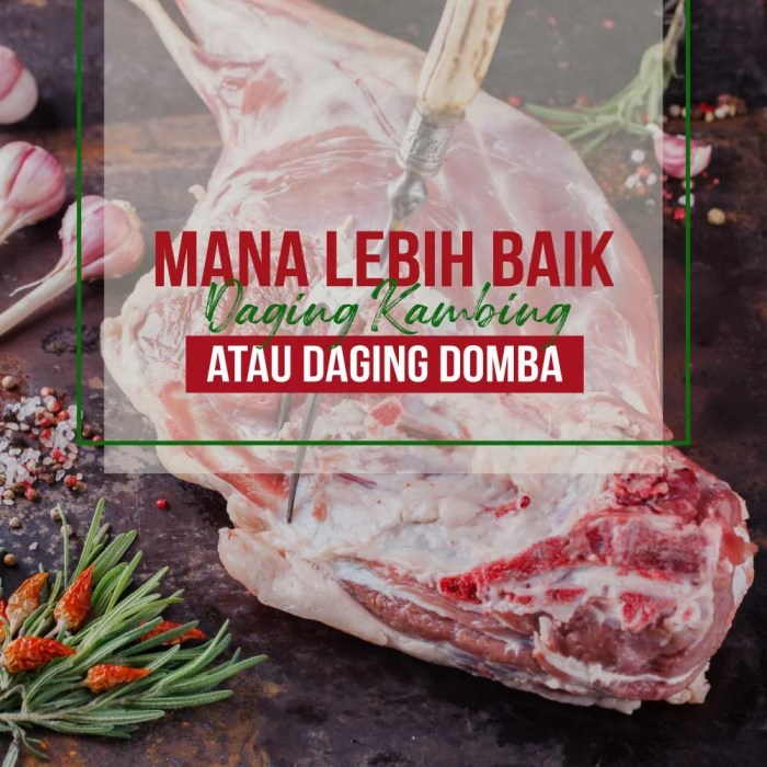 Mana Lebih Baik Daging Kambing Atau Domba - Cairo Food Daging kambing di Sukarami, Kota Palembang