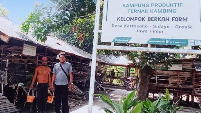 Daging kambing di Gresik, Kabupaten Gresik