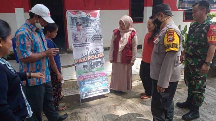 Daun penggemuk ayam di Rindingallo, Toraja Utara