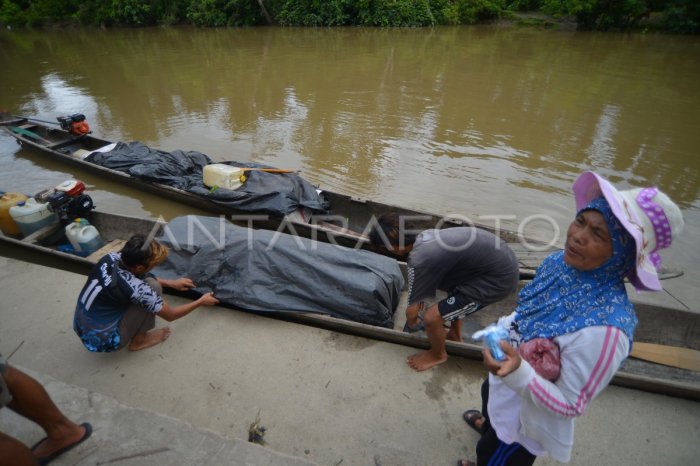 Menjelajahi Hutan Mangrove di Pulau Siberut, Kabupaten Kepulauan ... Ayam ternak di Siberut Selatan, Kabupaten Kepulauan Mentawai