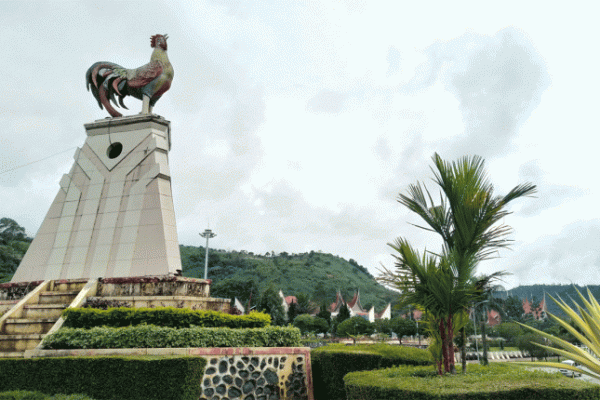 Usaha Budidaya ternak ayam petelur - Website Kalurahan JATIMULYO