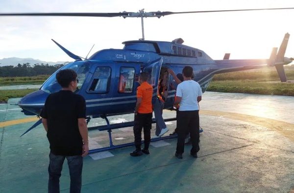 Daun penggemuk ayam di Jila, Kab. Mimika