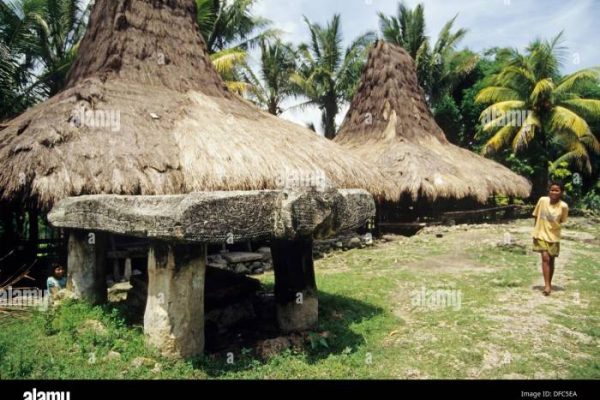 Daun penggemuk ayam di Kota Waikabubak, Sumba Barat
