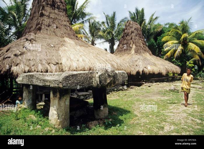 Daun penggemuk ayam di Kota Waikabubak, Sumba Barat