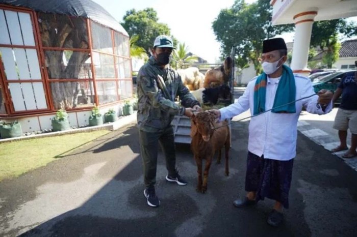 Daging kambing di Kartoharjo, Kota Madiun