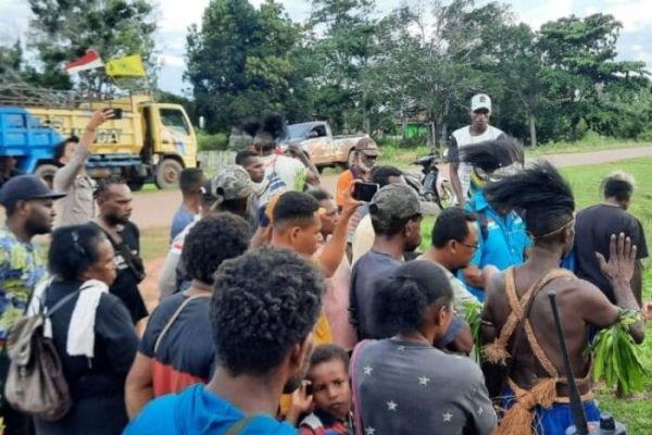 Daun penggemuk ayam di Jagebob, Kab. Merauke
