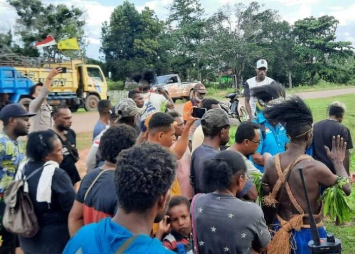 Daun penggemuk ayam di Jagebob, Kab. Merauke
