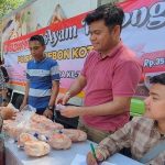 WAJIB TAU!! CIRI-CIRI AYAM AFKIR YANG PRODUKTIFITASNYA MENURUN DAN ...