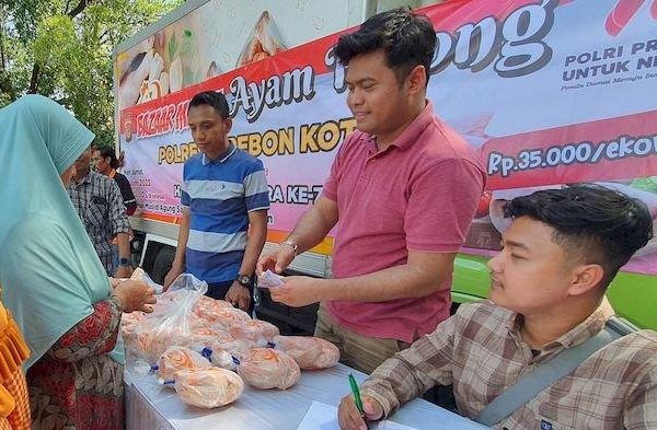 WAJIB TAU!! CIRI-CIRI AYAM AFKIR YANG PRODUKTIFITASNYA MENURUN DAN ...