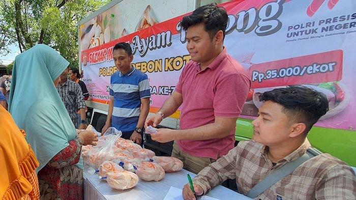 WAJIB TAU!! CIRI-CIRI AYAM AFKIR YANG PRODUKTIFITASNYA MENURUN DAN ...