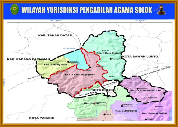 Ayam ternak di X Koto Singkarak, Kabupaten Solok