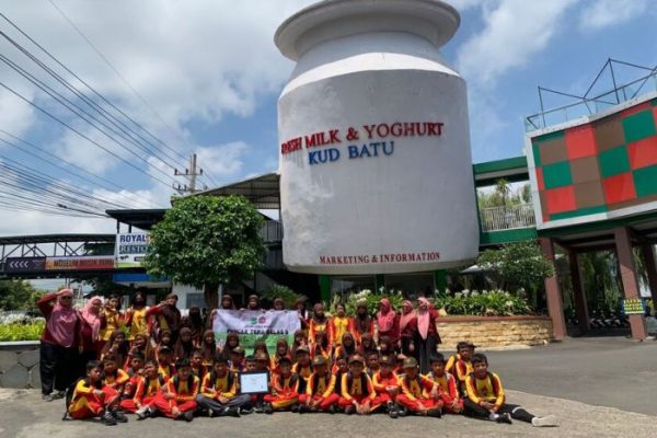 Susu kambing di Kejajar, Wonosobo