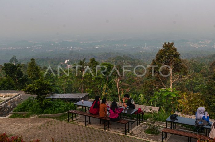 Lamb Village tour en Pandeglang | ANTARA Foto Lamb Village tour en Pandeglang | ANTARA Foto