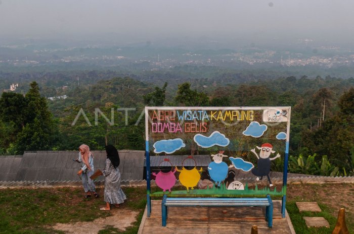 Wisata kampung domba di Pandeglang | ANTARA Foto