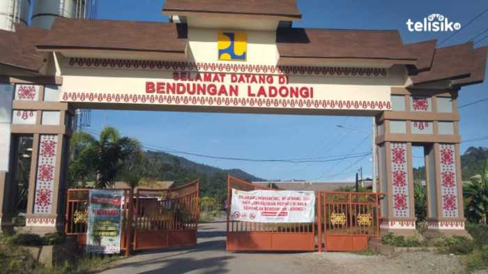 Ternak ayam petelur di Ladongi, Kolaka Timur