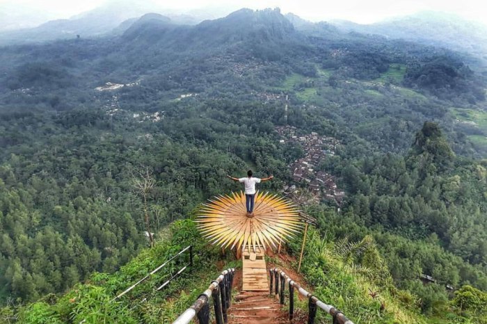 Peluang Bisnis Sampingan Beternak Ayam Kampung Peluang Bisnis Sampingan Beternak Ayam Kampung
