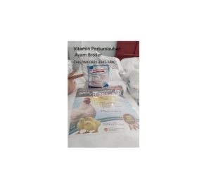 Vitamin Broiler di Buluspesantren, Kebumen Penting untuk Pertumbuhan