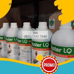 Vitamin Ayam Terbaik di Buayan, Kebumen untuk Peternak