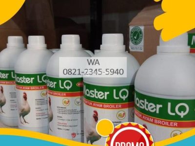 Vitamin Ayam Terbaik di Buayan, Kebumen