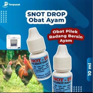 Penyakit Snot Ayam di Karanggayam, Kebumen yang Mengkhawatirkan