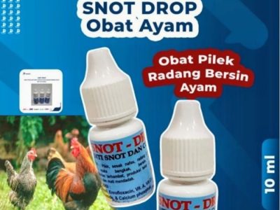 Penyakit Snot Ayam di Pejagoan, Kebumen