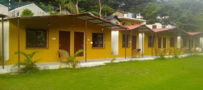 Ayam Sakit di Purwokerto Utara, Banyumas