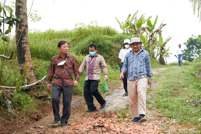 Ayam Petelur Ngorok di Pejagoan, Kebumen