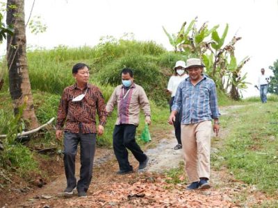 Ayam Petelur Ngorok di Pejagoan, Kebumen
