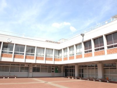 Ayam Lumpuh di Patikraja, Banyumas