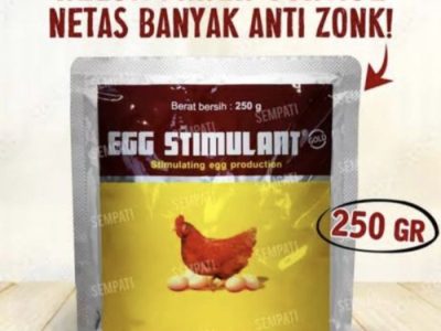 Vitamin Ayam Petelur di Kemiri, Purworejo
