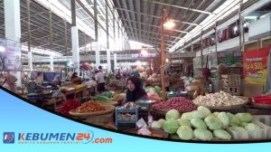 Harga DOC Hari Ini di Karangsambung, Kebumen Terbaru