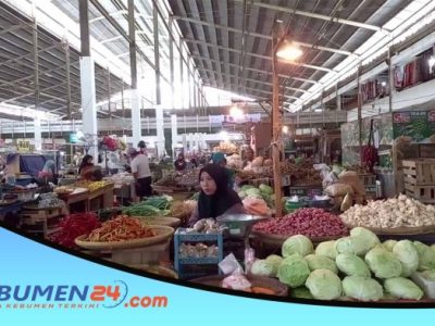 Harga DOC Hari Ini di Karangsambung, Kebumen