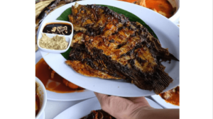Ayam Stres di Alian, Kebumen dan Dampaknya