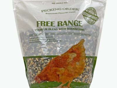 Pakan Ayam Kampung di Sadang, Kebumen
