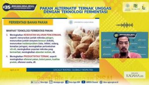 Pakan Fermentasi Ayam di Ajibarang, Banyumas yang Efektif