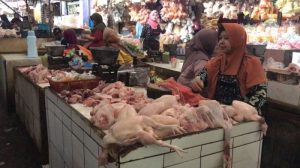 Harga Ayam Broiler di Ajibarang, Banyumas yang Terus Berubah