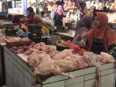 Harga Ayam Broiler di Ajibarang, Banyumas
