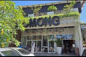 Ayam Kurus di Puring, Kebumen Menyuguhkan Keunikan